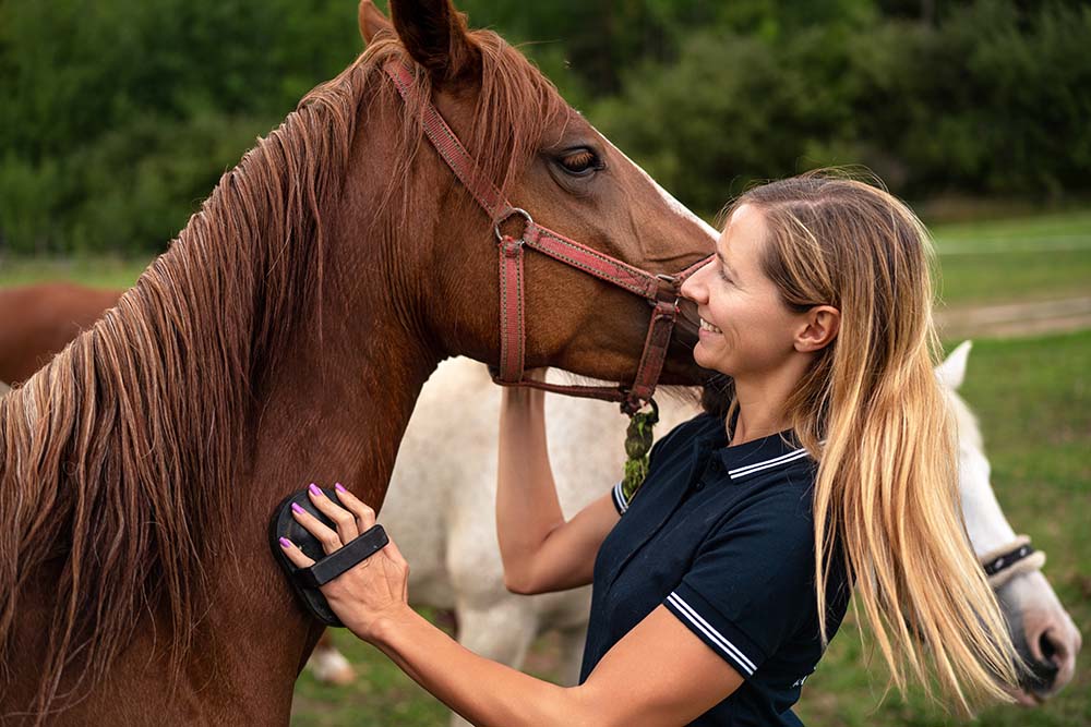 white label horse products