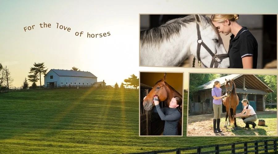 private label horse products